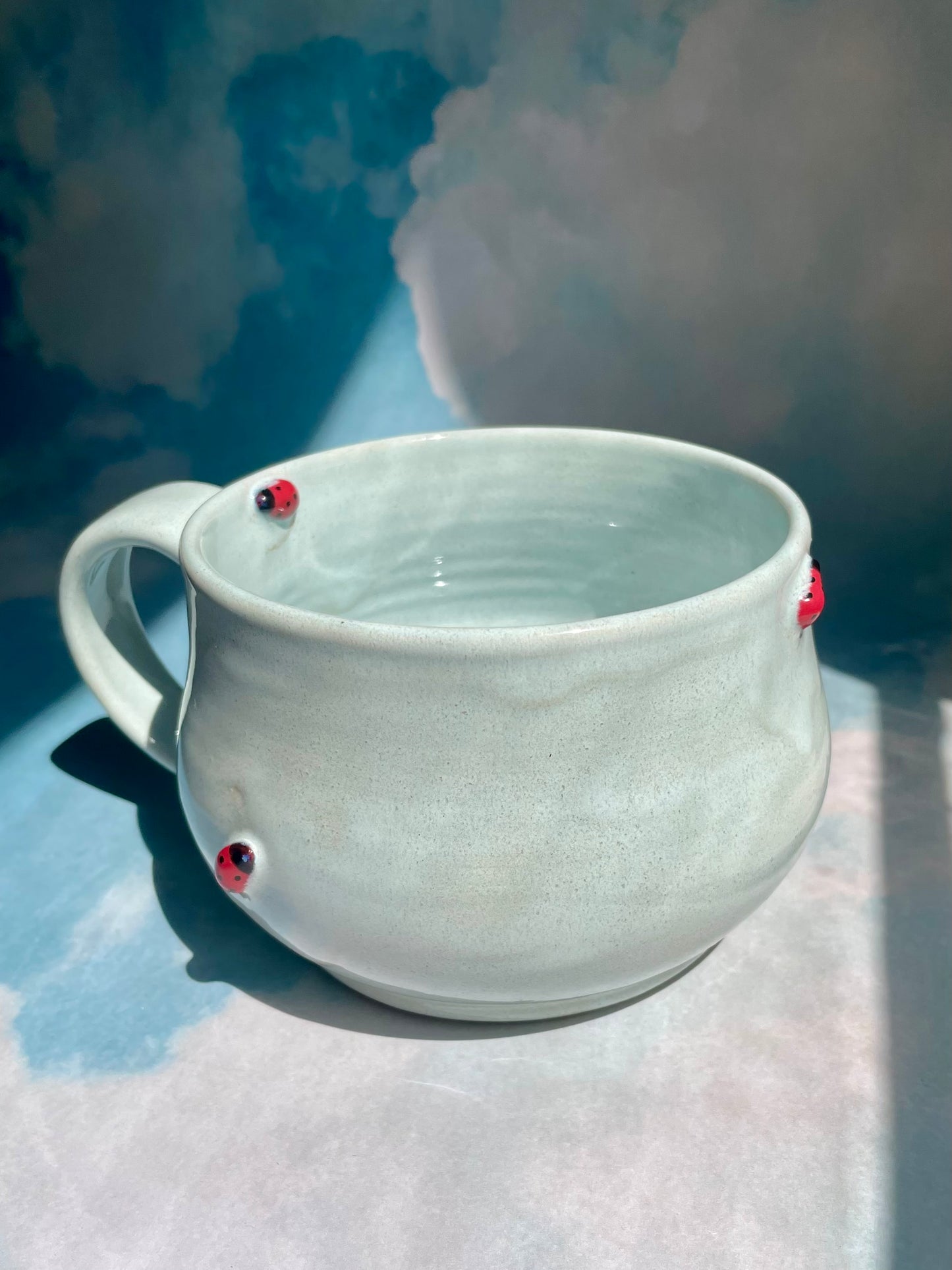 Ladybug Mug 21oz