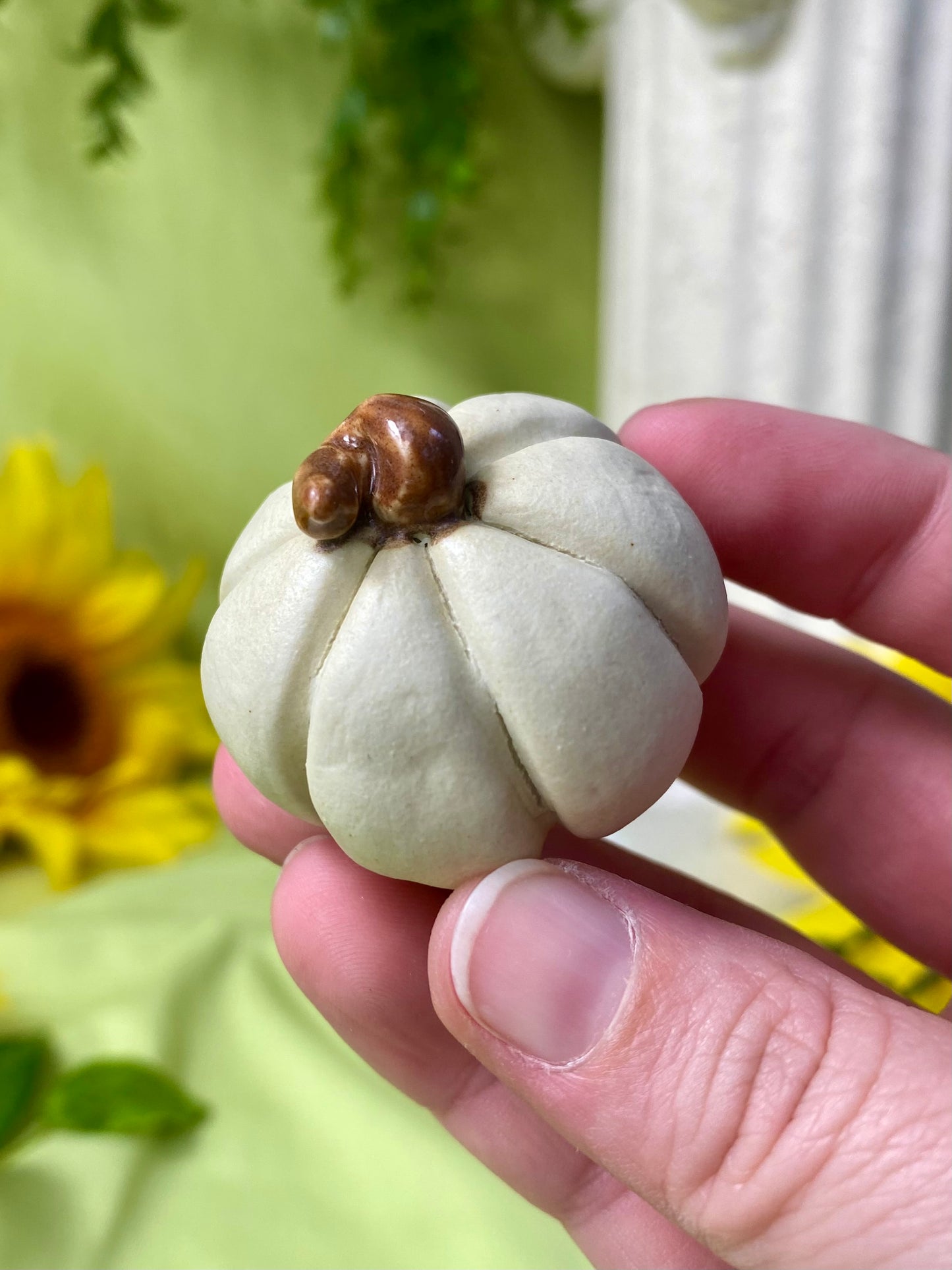 White Mini Pumpkin T