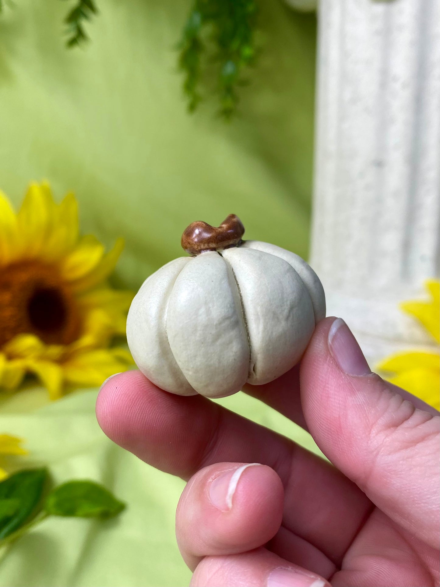 White Mini Pumpkin T