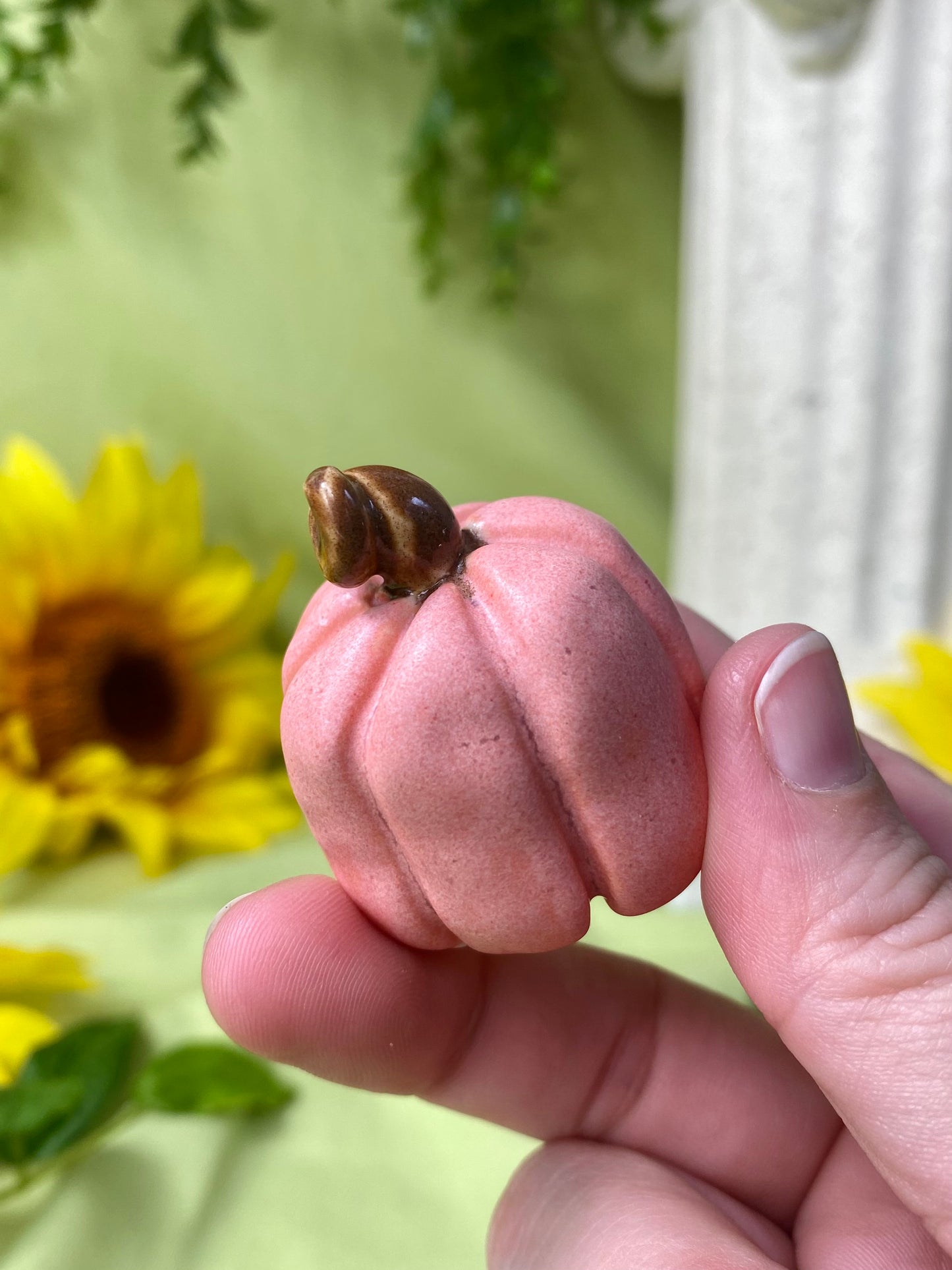 Pink Mini Pumpkin G