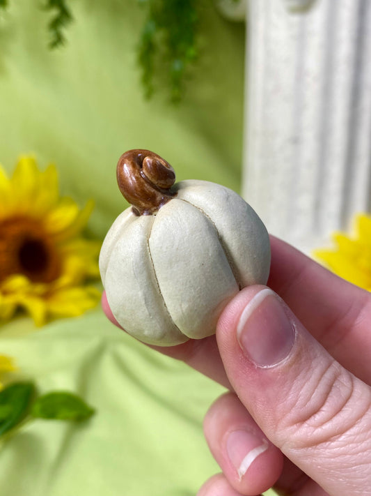 White Mini Pumpkin L