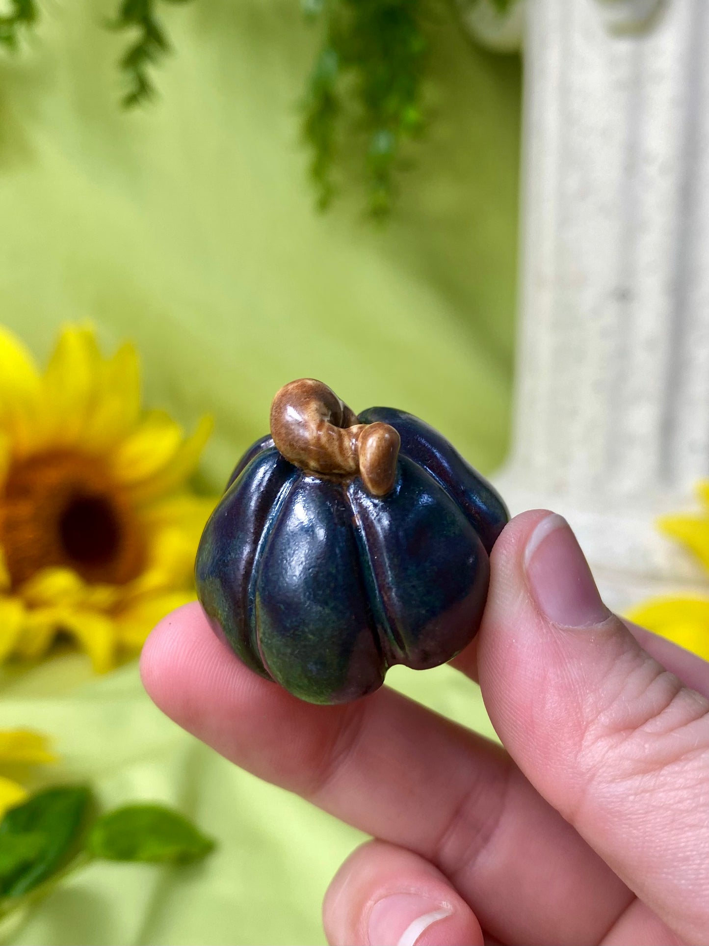 Black Mini Pumpkin Q