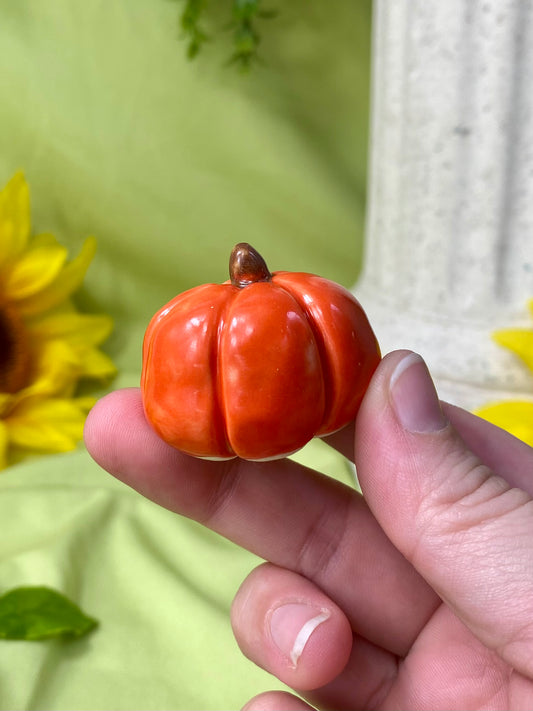 Orange Mini Pumpkin H