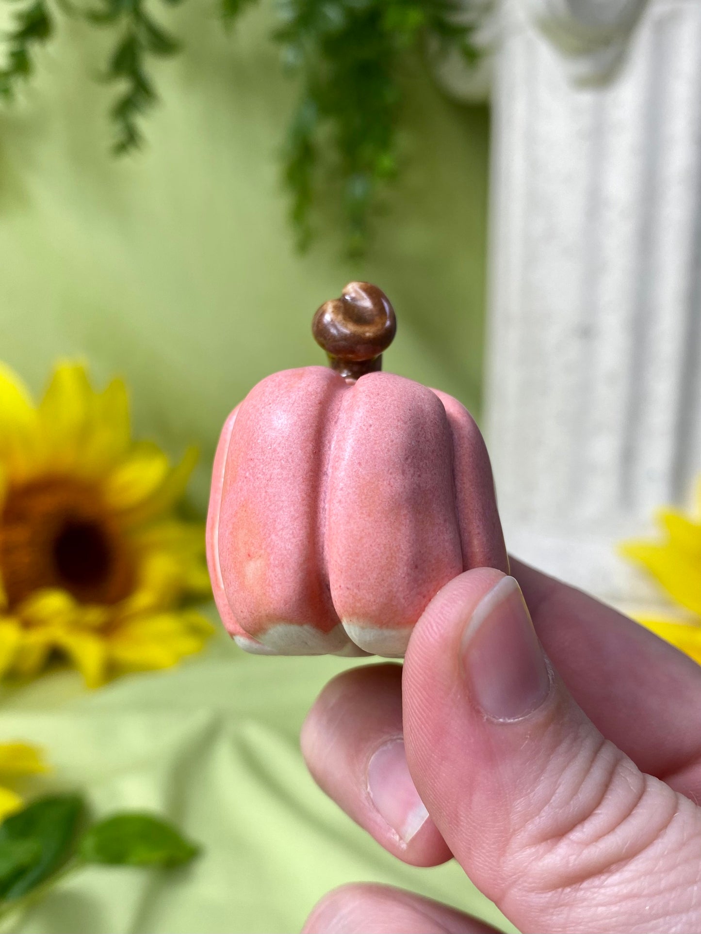 Pink Mini Pumpkin G