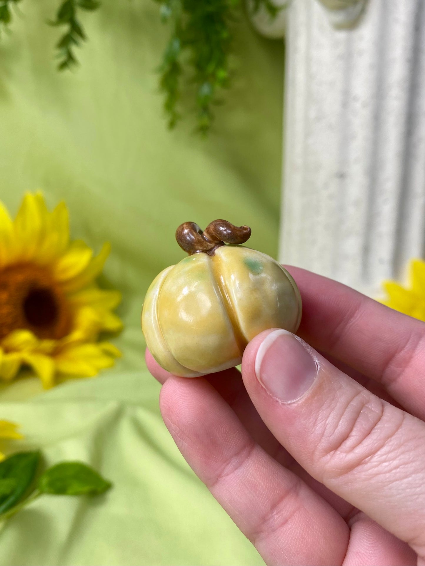 Yellow Mini Pumpkin F