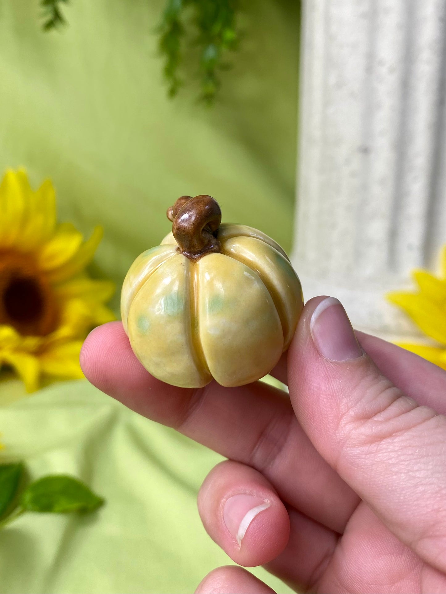 Yellow Mini Pumpkin F