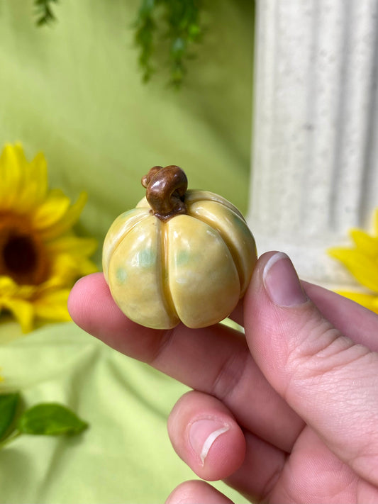 Yellow Mini Pumpkin F