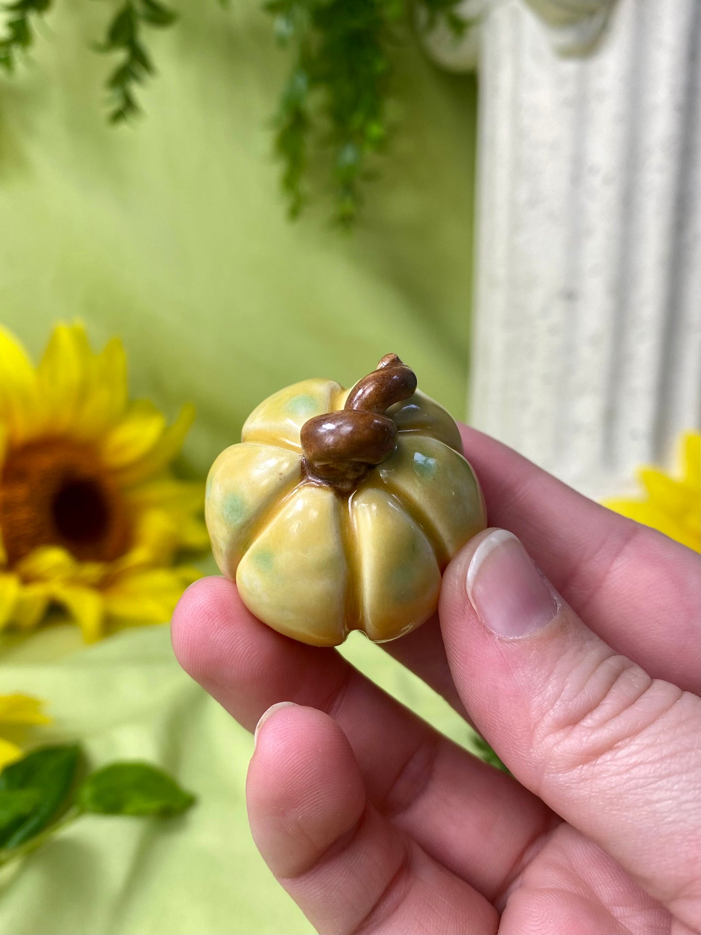 Yellow Mini Pumpkin F