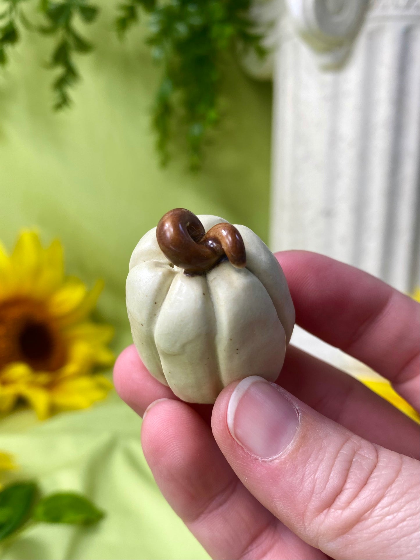 White Mini Pumpkin O