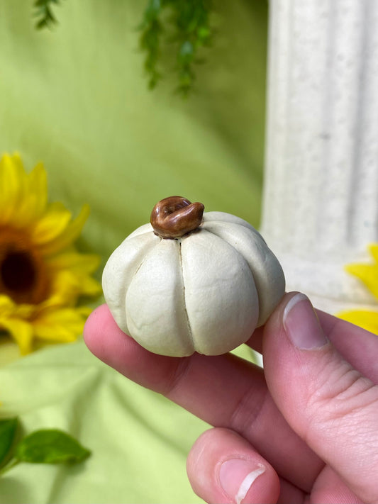 White Mini Pumpkin T