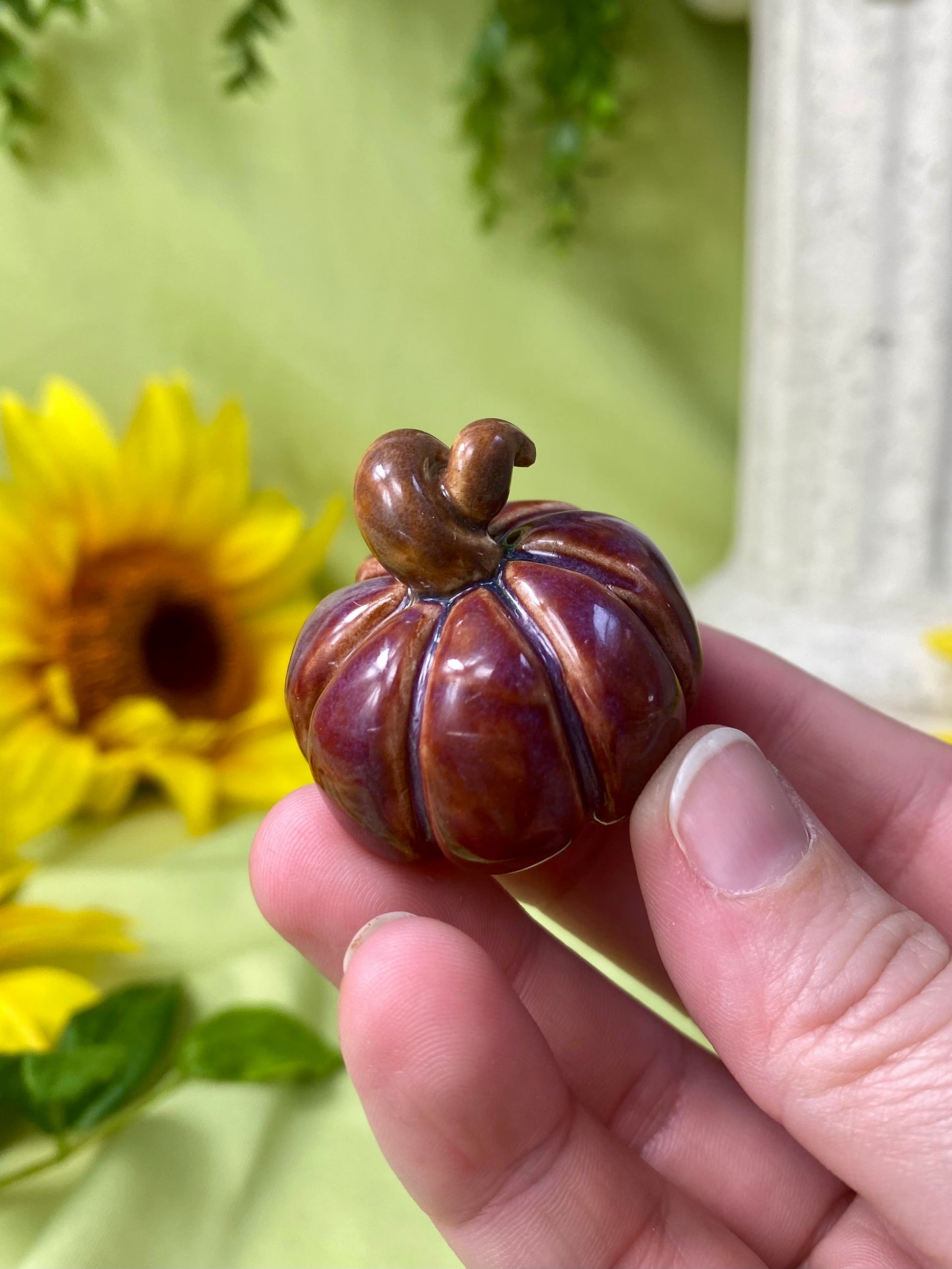 Maroon Mini Pumpkin P